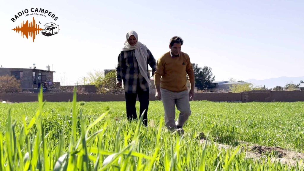 خانم کمپرساز در سفر